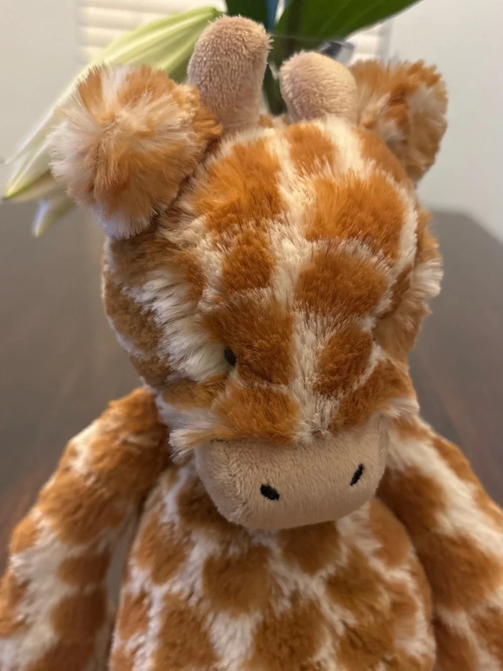 Jellycat Bashful Giraffe